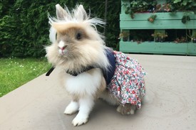 Fotó: shutterstock.com, illusztráció