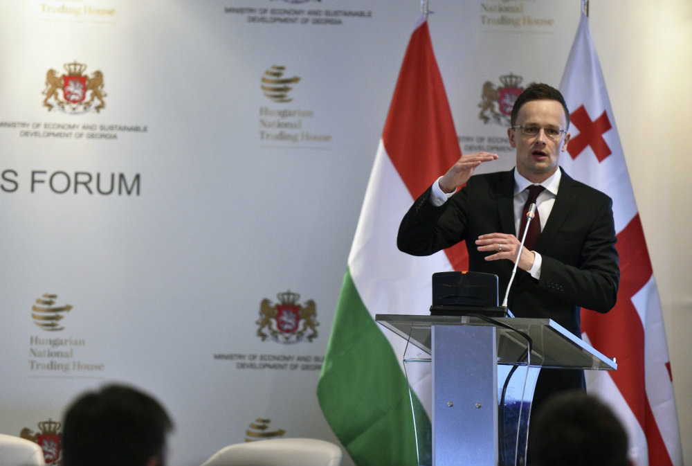 A magyar és a grúz kormány is alkalmazkodik a változó körülményekhez