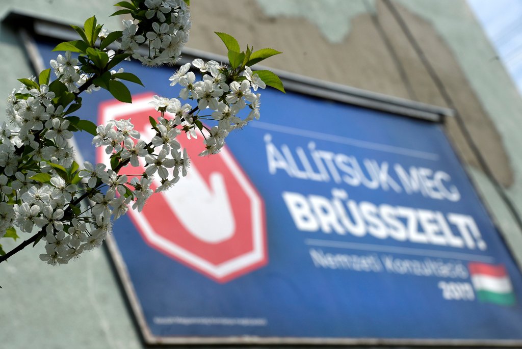 A 2015-öst meghaladó érdeklődés a nemzeti konzultáció iránt