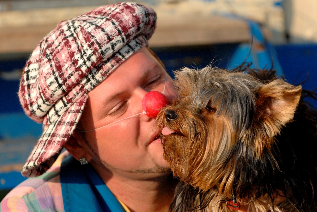 Porondon a háziállatokkal