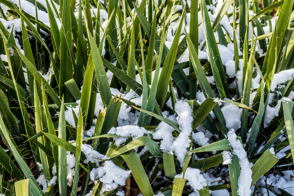 Mínuszokra, hóra is készülni kell