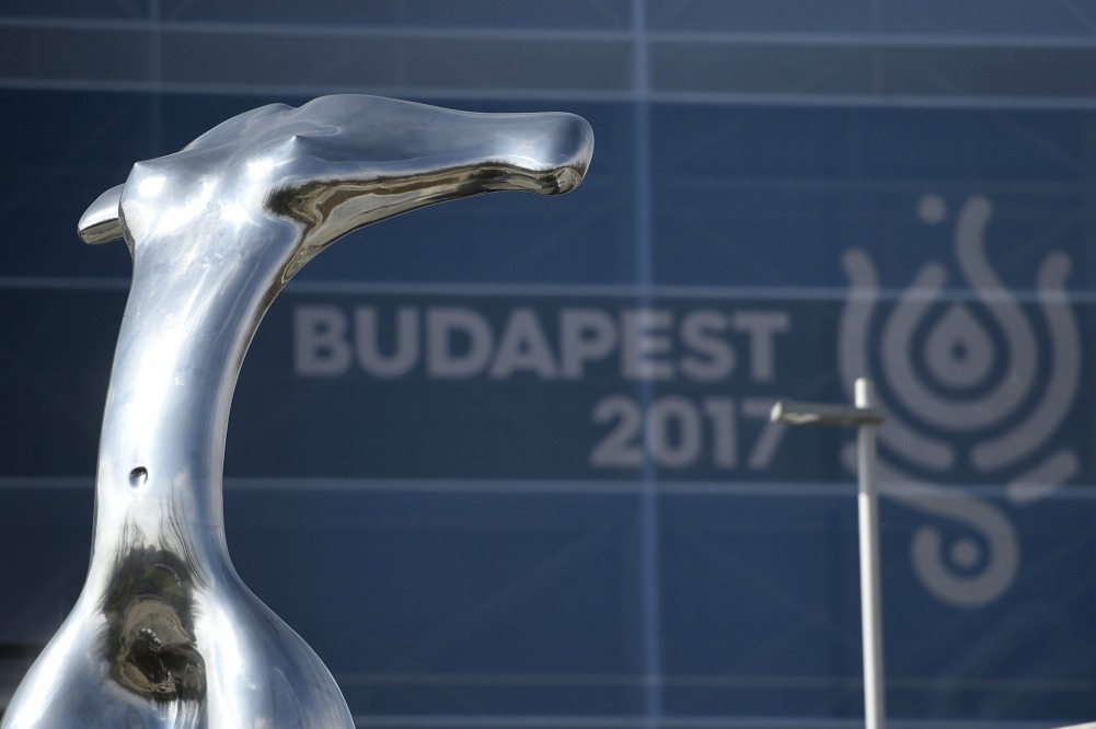 Elégedett az előkészületekkel a FINA