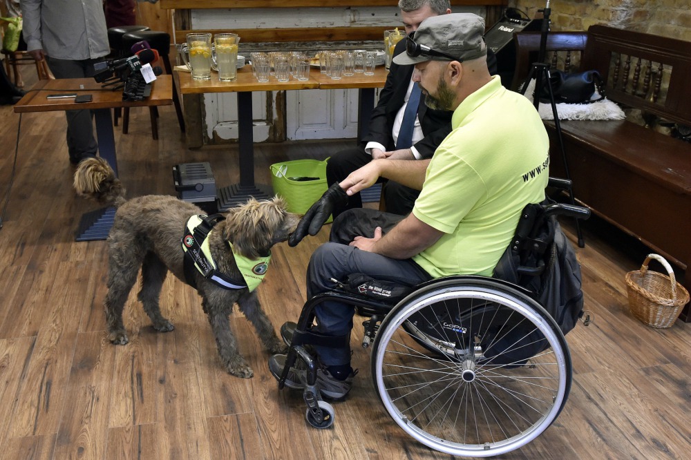 Pályázatok a fogyatékossággal élőket segítő szervezeteknek