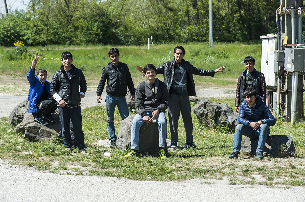 Közös V4-nyilatkozat