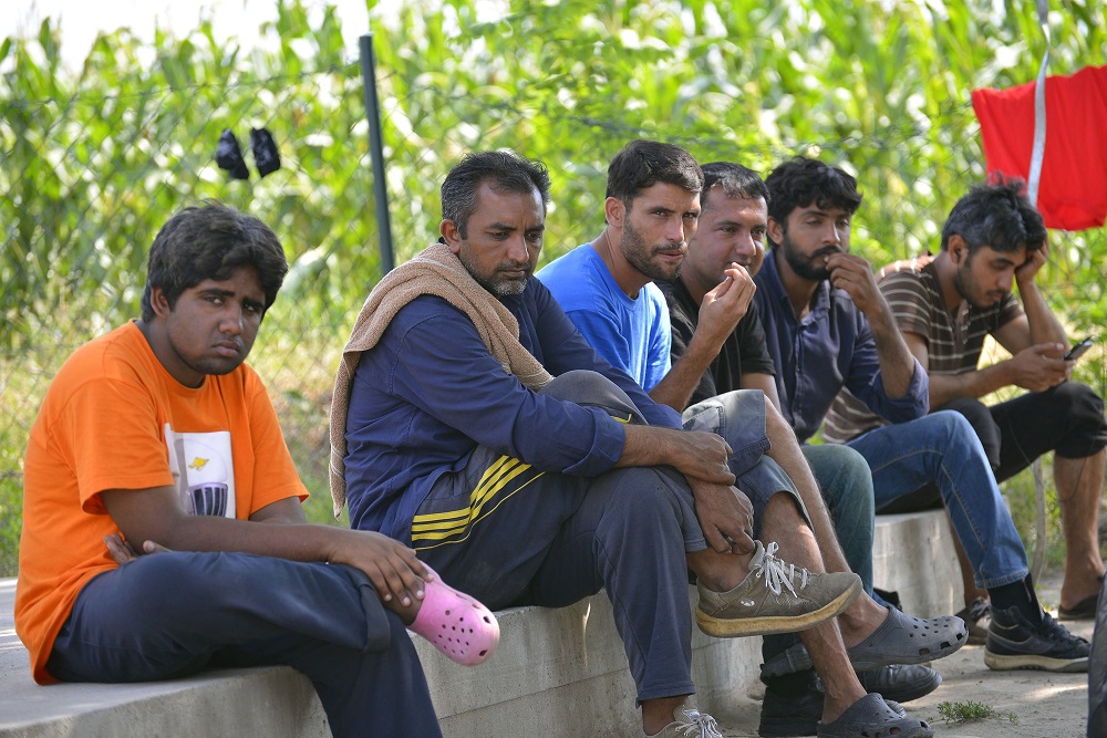 Háromszor több migránst fogtak el a román-magyar határon