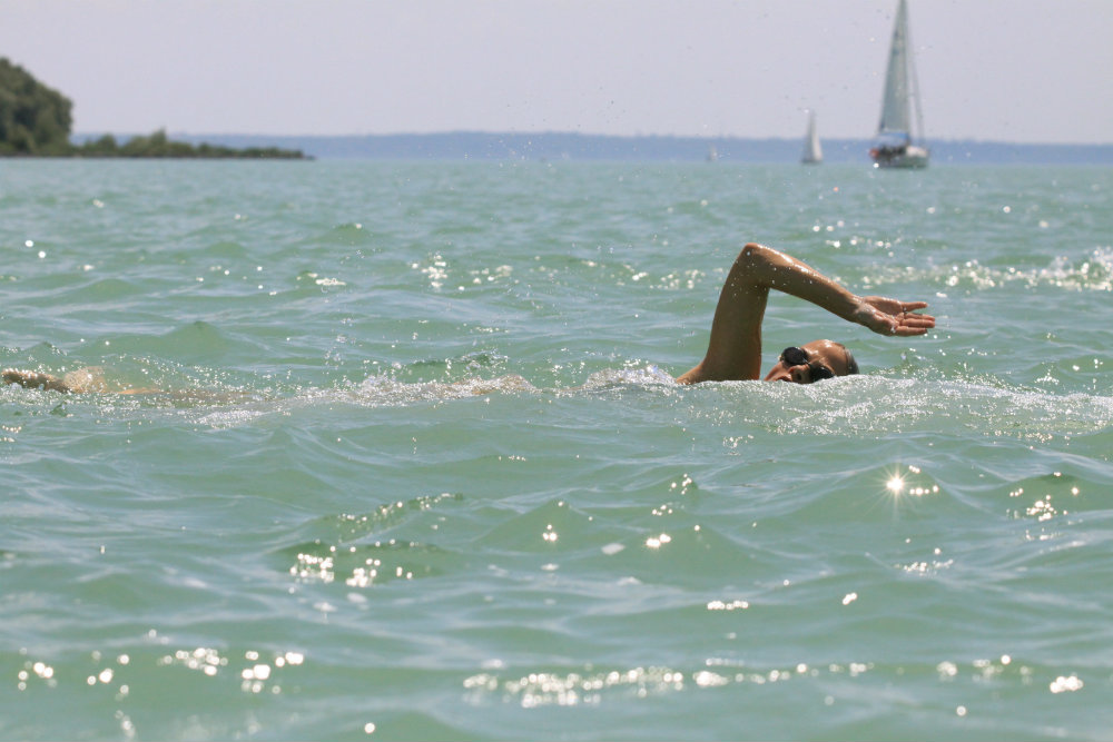 Több mint 8000 induló a Balaton-átúszáson