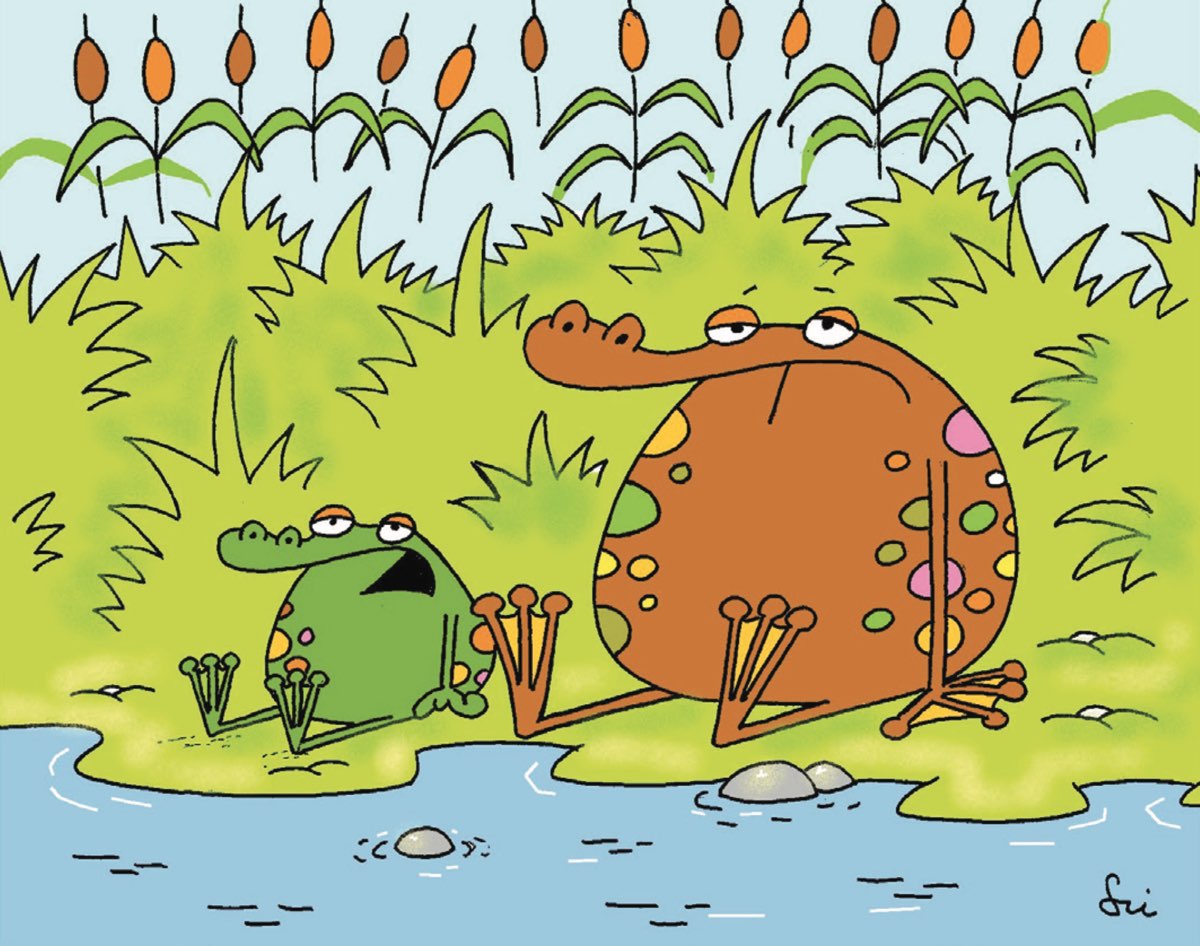 Miről susog a nádas?