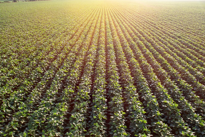 Aláírták az Európai szója nyilatkozatot