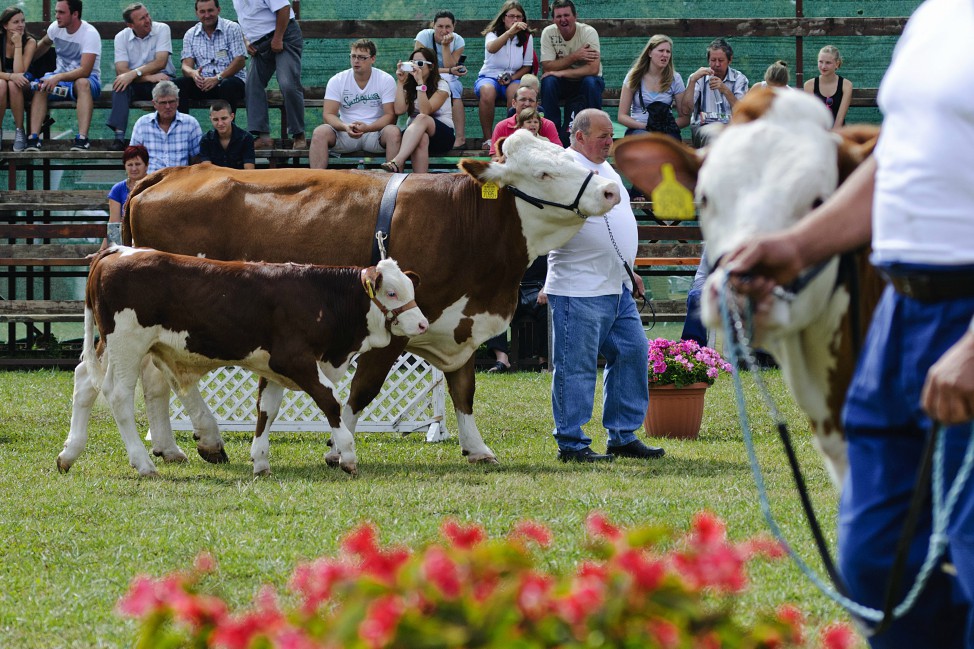 Újra Farmer Expo Debrecenben