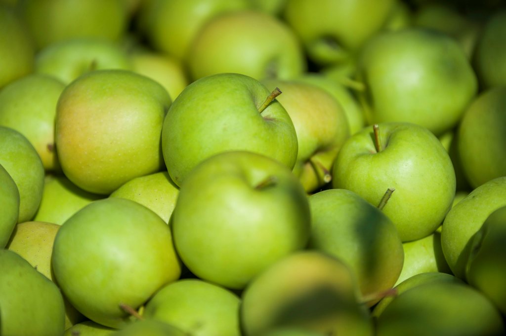 Rossz helyzetben van az almatermesztés