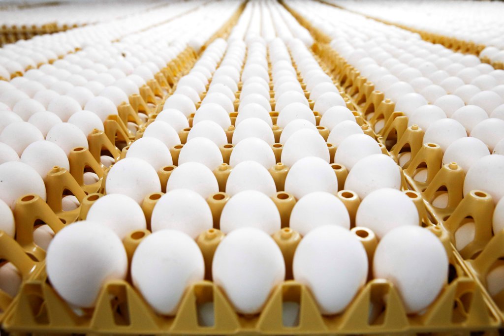 Ismét szennyezett tojást találtak Magyarországon