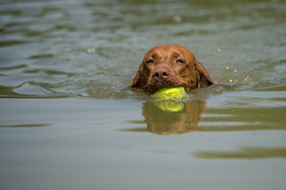 A hét közepére visszatér a kánikula