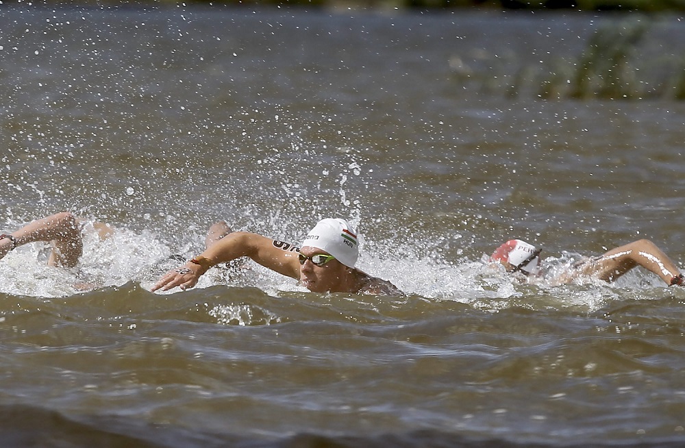 Hét magyar érem nyíltvízi úszásban
