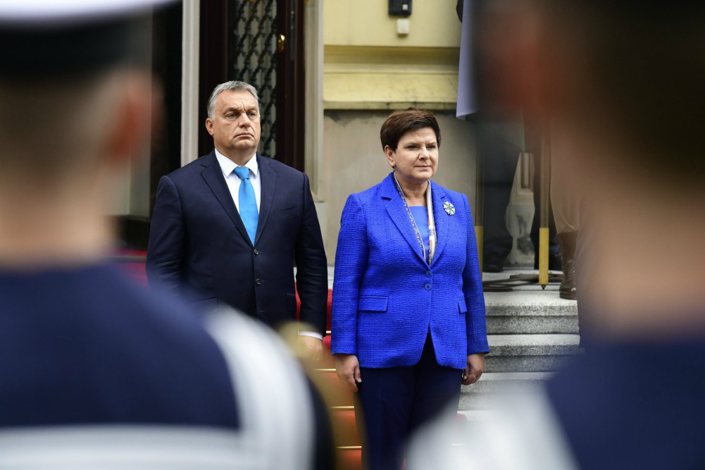 Helyes a választott út