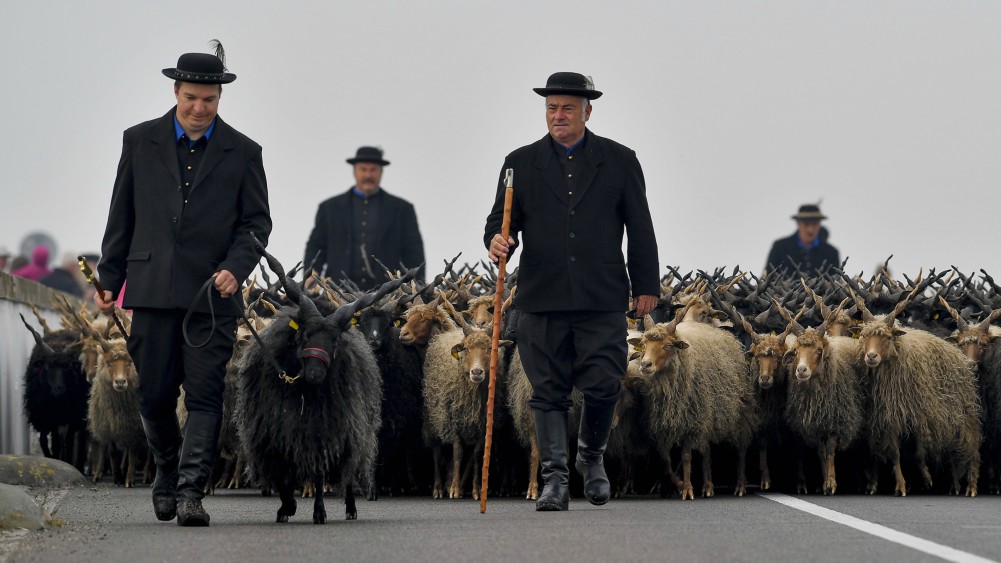 Nőttek a mezőgazdasági termelői árak