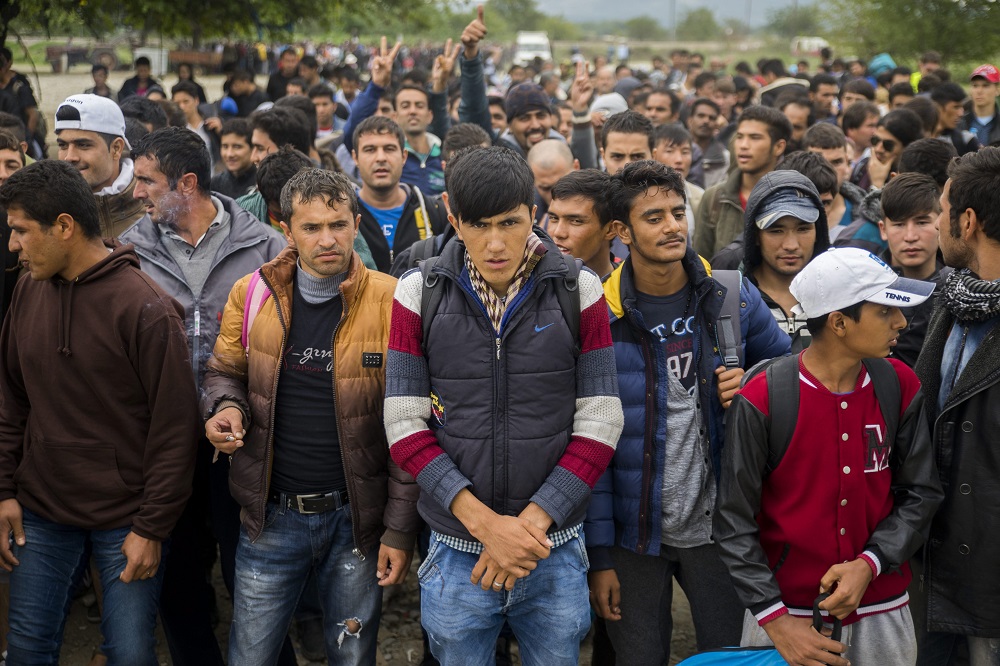 Megszervezné a migrációt