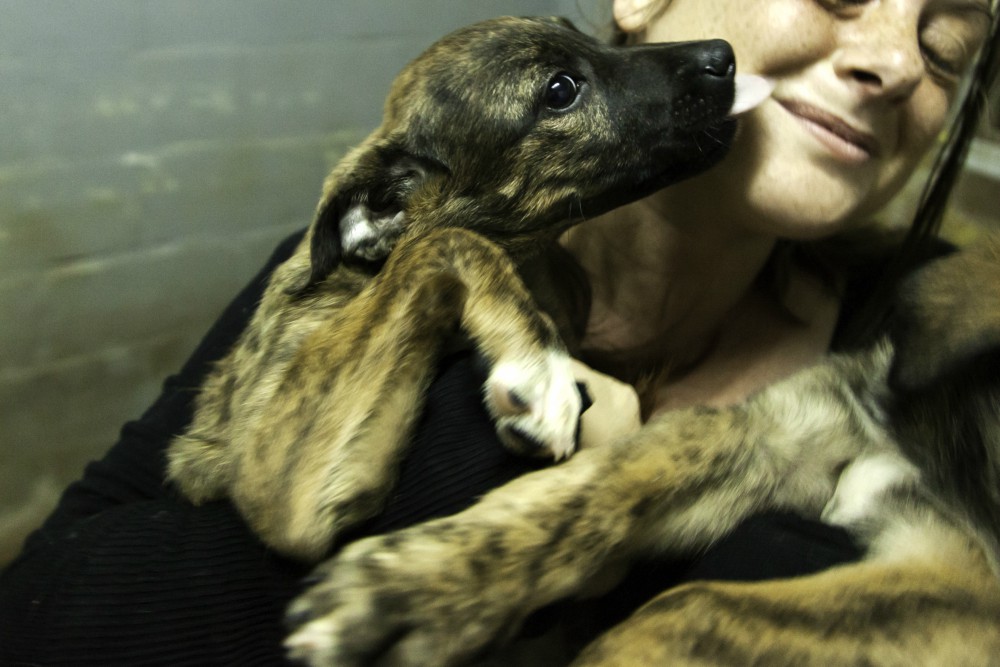 Állatok világnapja a Rex Állatszigeten