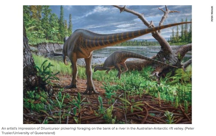 Pulyka méretű dinoszaurusz járta a vidéket