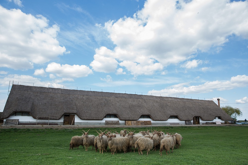 Több mint egymillió eurós fejlesztés
