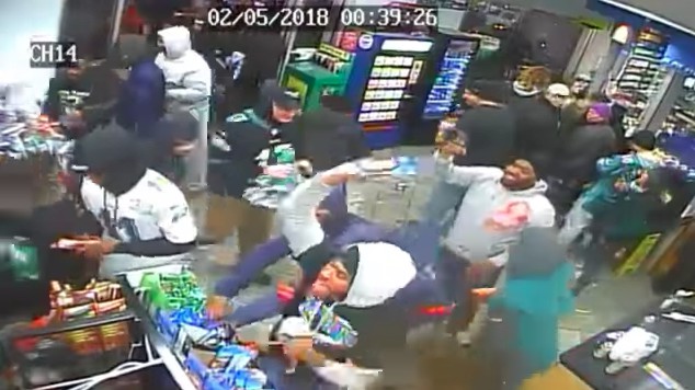 Emberállatok (Videó!)