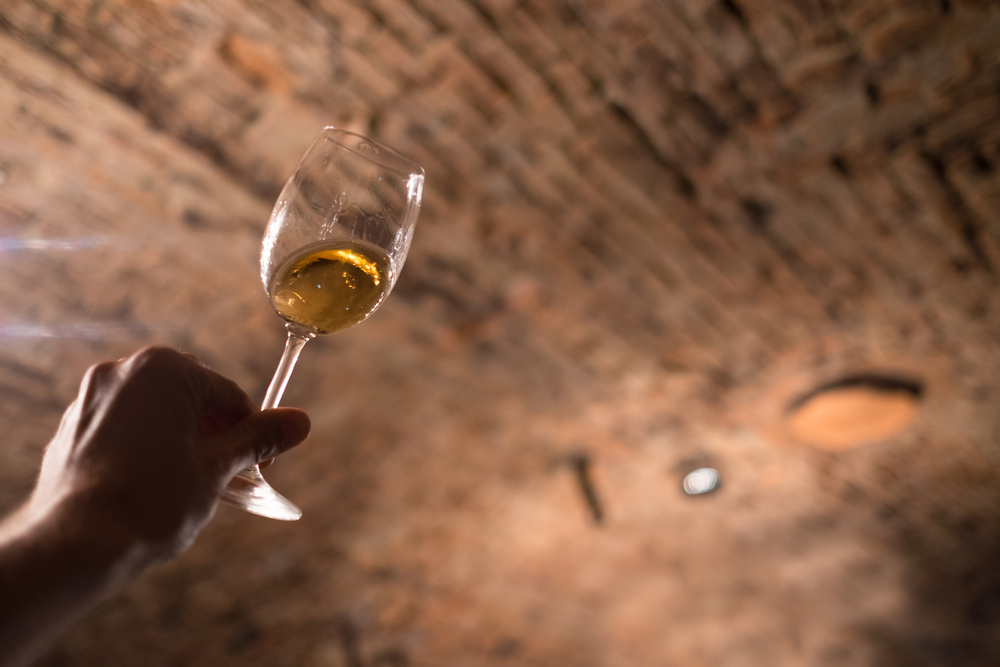 A királyok bora Olaszországban