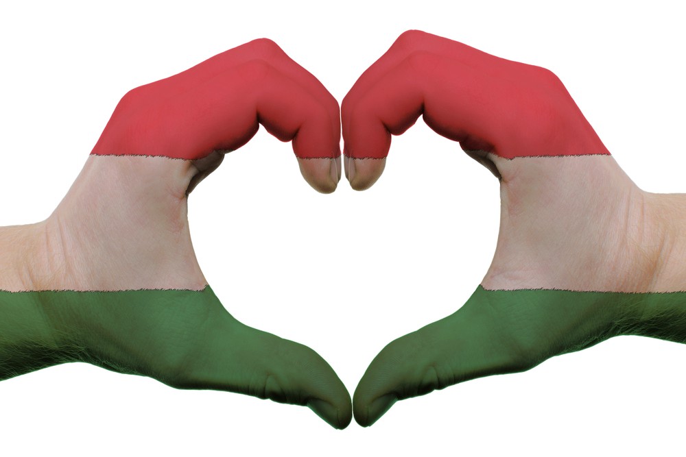 Sorsdöntő választásra készülünk