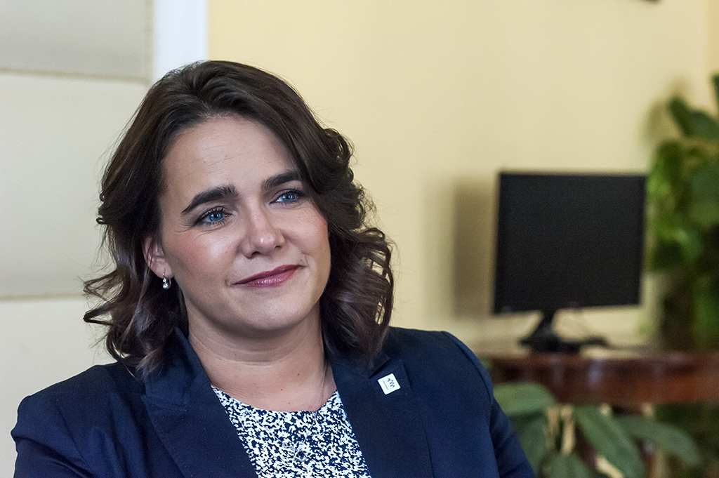 Családok vagy bevándorlók