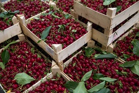 Fotó: MTI, archív, illusztráció