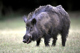 Fotó: MTI, archív, illusztráció