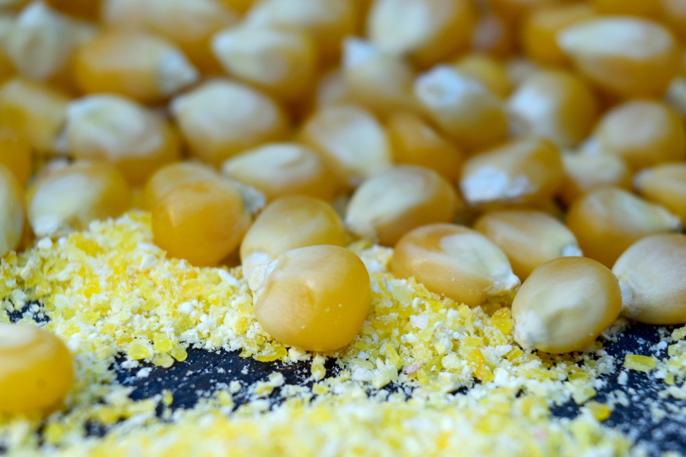 Kukoricamalom épül Karcagon