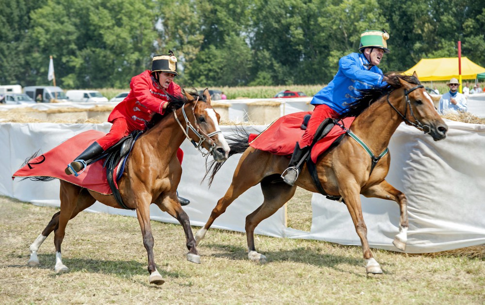 Kétnapos lesz a Felvidéki Vágta