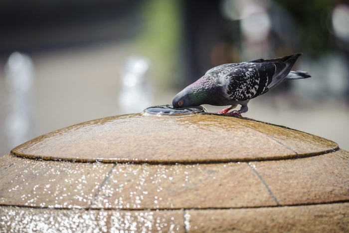 Harminc fok körüli meleg lesz