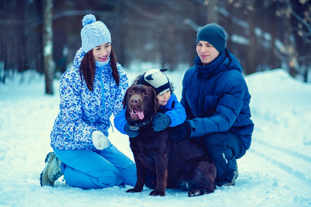 Családközpontú gondolkodás