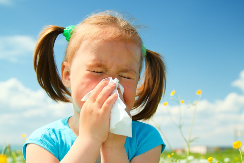 Már tüneteket okoz a parlagfű