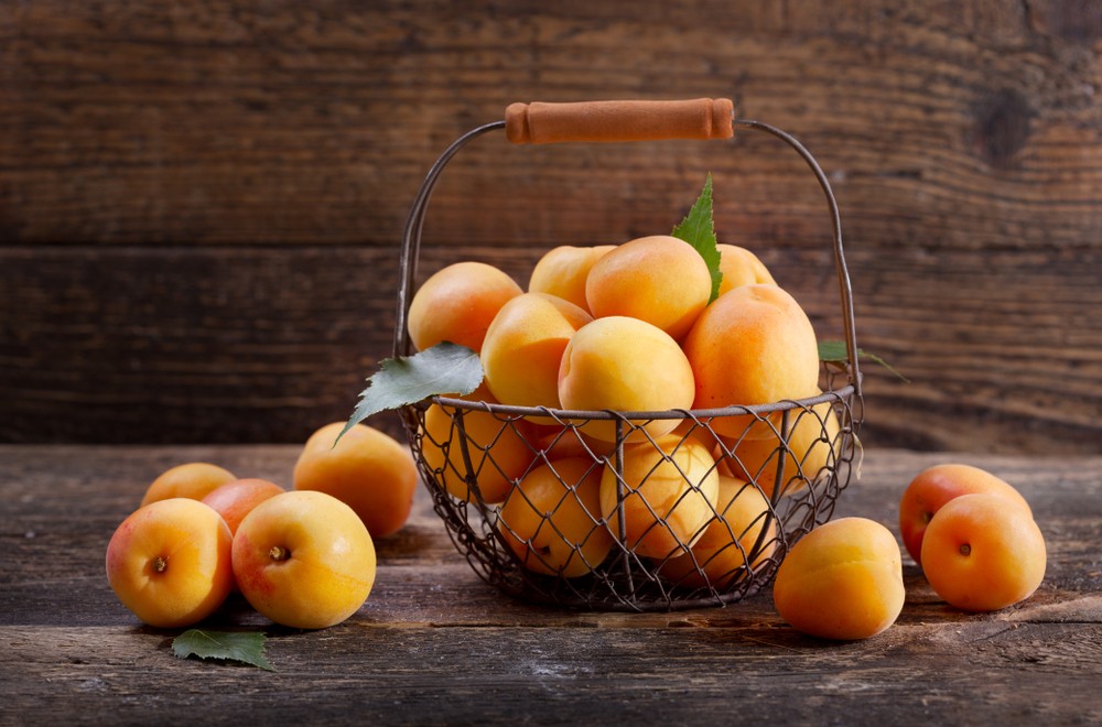 A fagy miatt megint odaveszett a kajszitermés nagy része