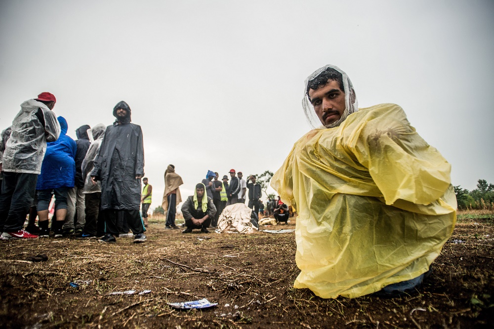 Csökkent a németországi menedékkérelmek száma