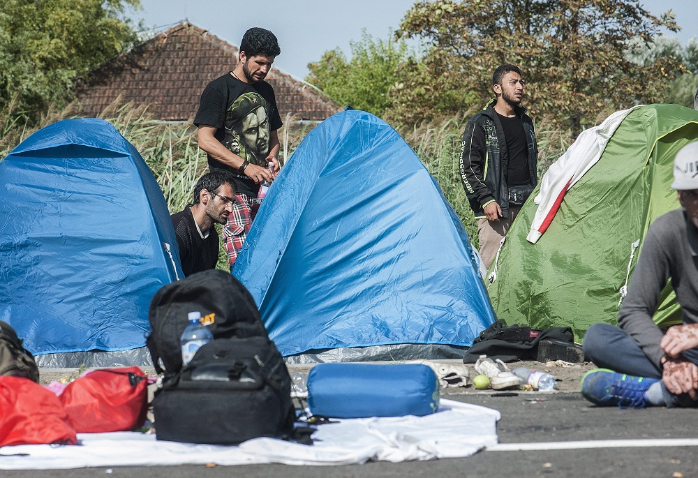 Hatezer migráns távozott Boszniából Horvátországba idén