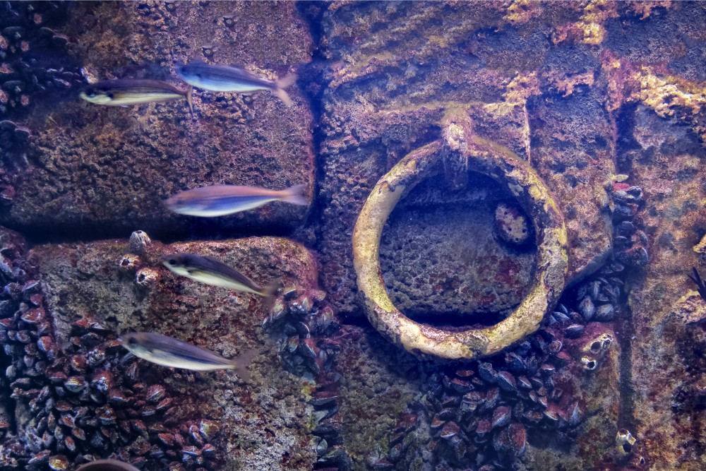 Ókori hajó maradványaira bukkantak