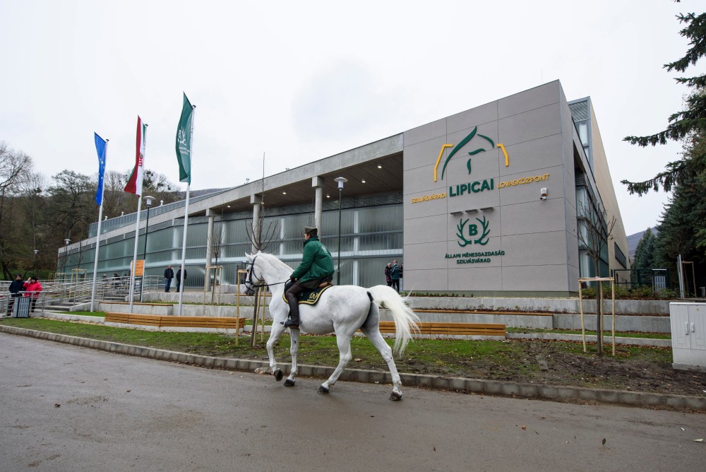 Hamarosan nyit a lipicai lovasközpont