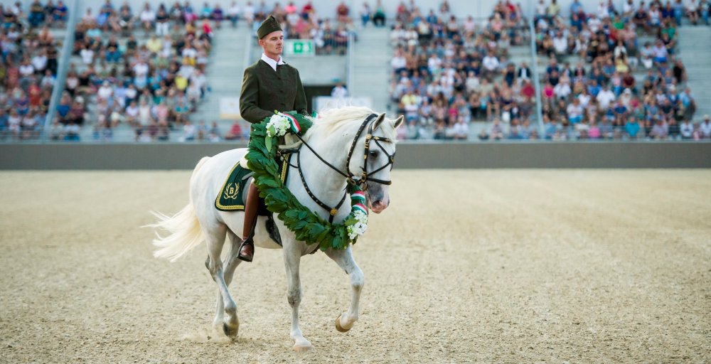Átadták Közép-Európa legmodernebb lovasközpontját