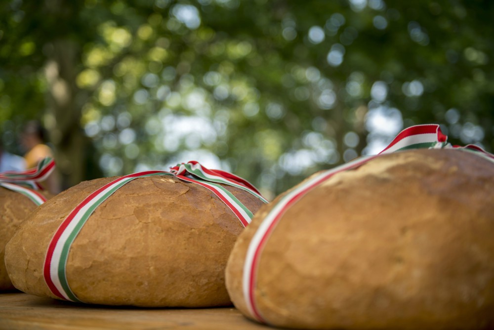 Összeöntötték a búzát