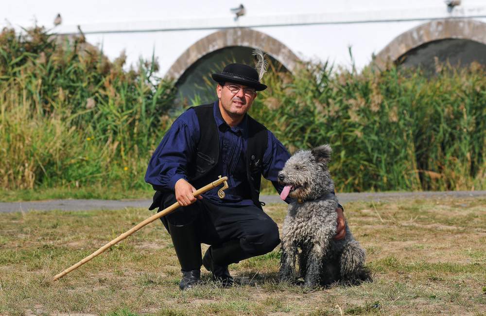 Pásztorkutya terelőverseny lesz Szaporcán