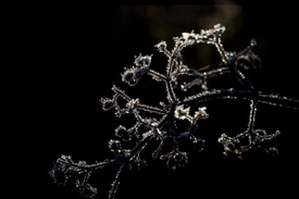 Fotó: MTI/Komka Péter