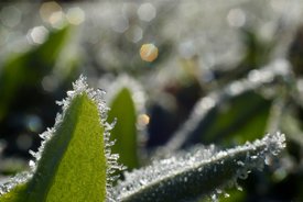 Fotó: MTI/Komka Péter