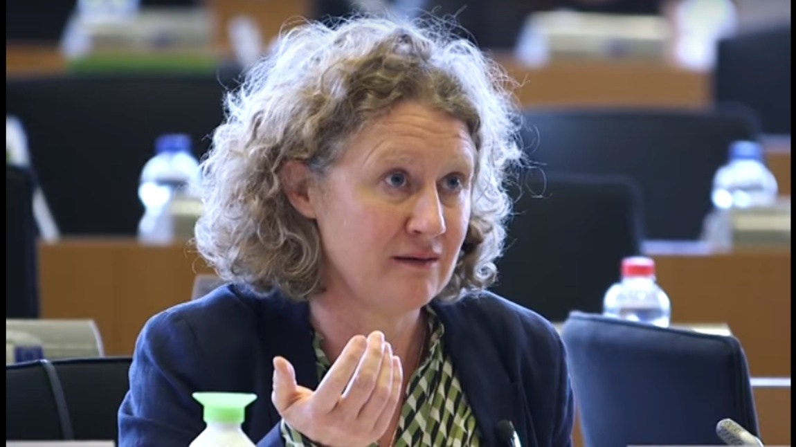 A Sargentini-jelentés megsértette Magyarország szuverenitását