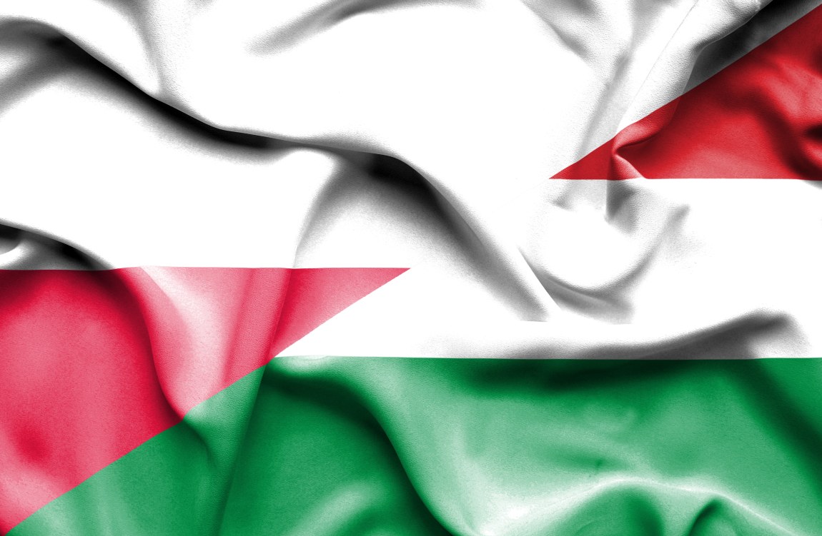 Lengyelország szolidáris