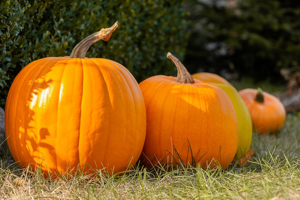 Napsütéses, meleg idő várható