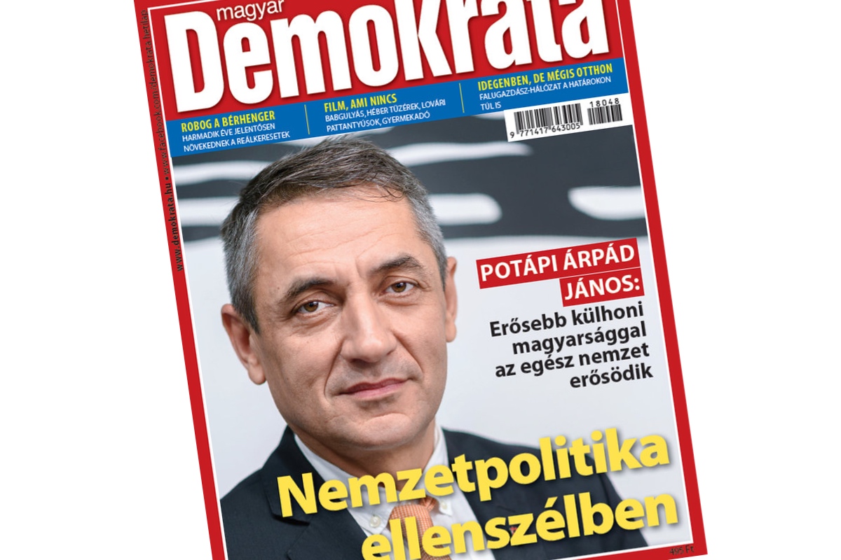 Nemzetpolitika ellenszélben