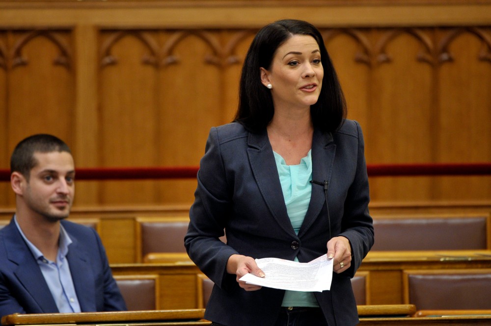 Hamis hírek hiénái