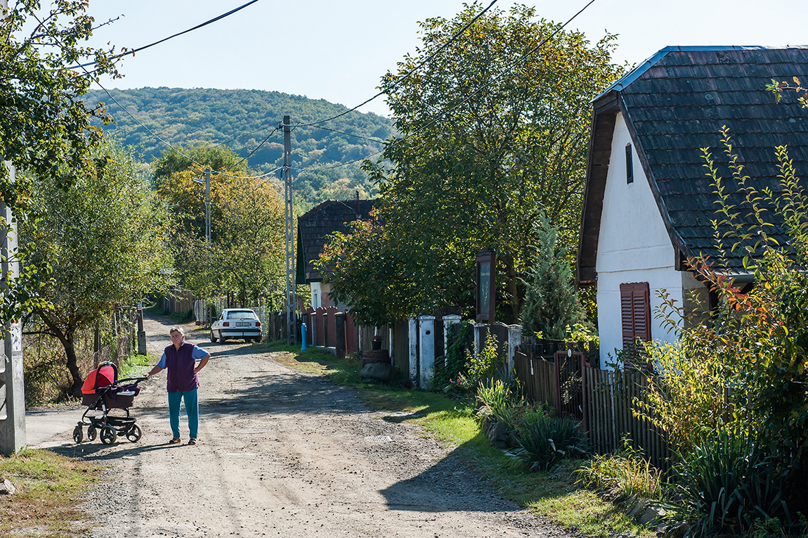 Megjöttek a vendégek